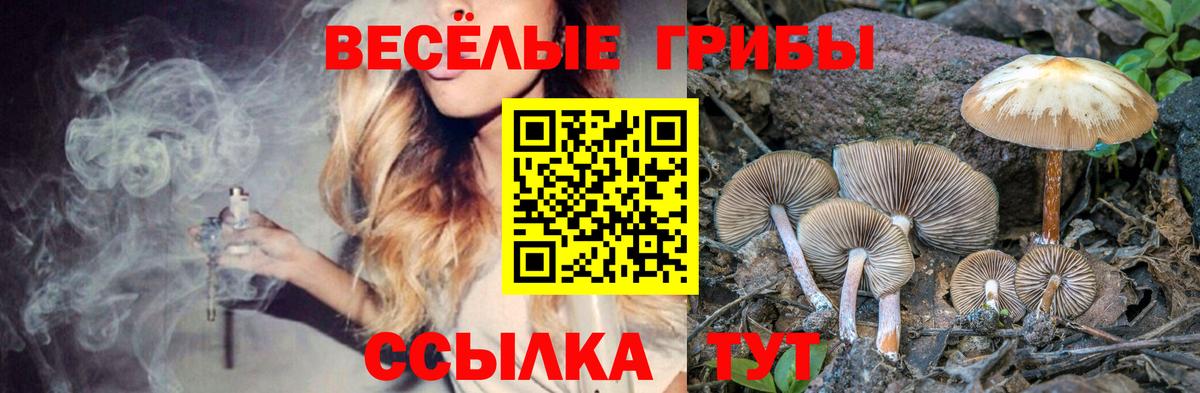 Мончегорск  Псилоцибиновые грибы Psilocybine cubensis  Вход с VPN  Псилоцибиновые грибы мицелий 